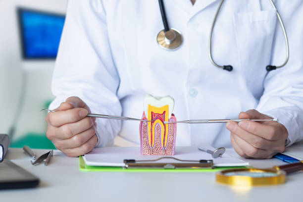 Best Walk-In Emergency Dental Services in Cottonport, LA
